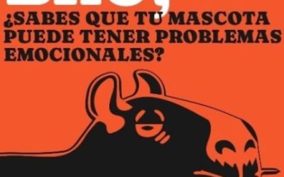 Conoce la personalidad de tu Mascota