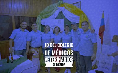 Día del Médico Veterinario en Venezuela: Un Homenaje a los Especialistas en Salud Animal.