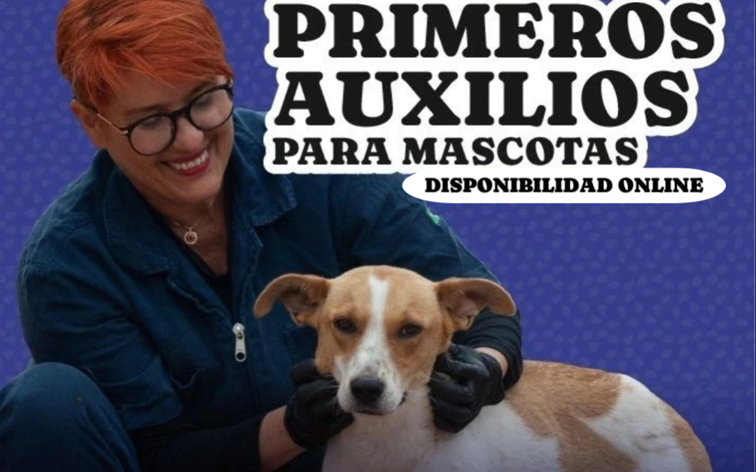 Curso y manual de primeros auxilios para mascota