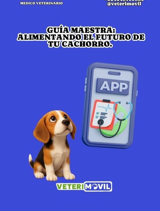 Guía Maestra: MANUAL DE NUTRICION CACHORRO CANINO