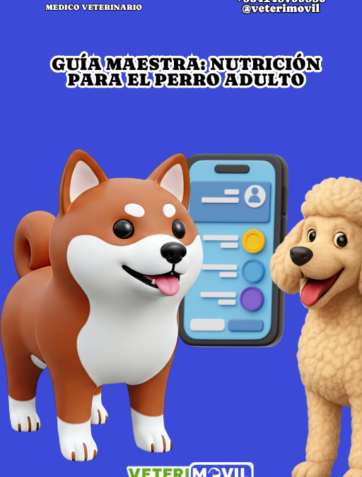 📑 Guía Maestra: Nutrición Estratégica para el Perro Adulto