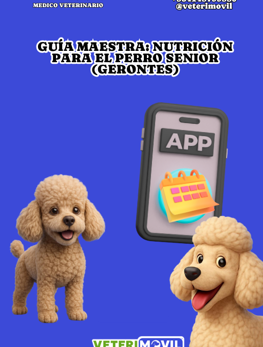 📑 Guía Maestra de Nutrición para el Perro Senior (Gerontes)